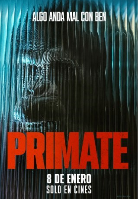 PRIMATE
